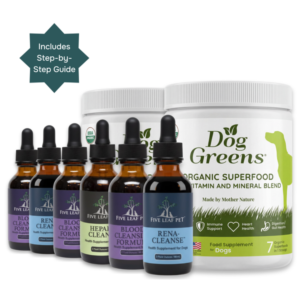 Kidney Health Package Two - For dogs over 40 pounds/18 kg