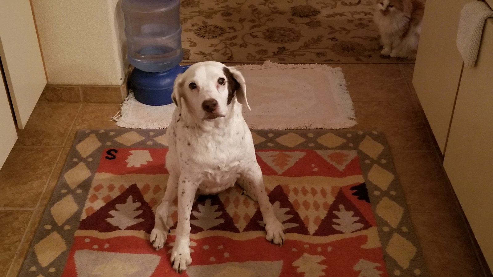 Gina