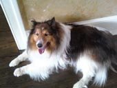 Shellie Picture