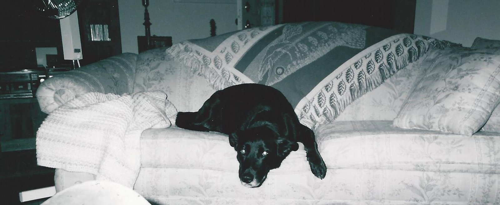Suze