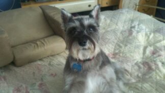 spanky